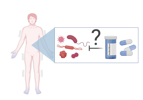 Finde das passende Antibiotikum und rette die Patientinnen und Patienten vor dem Krankenhauskeim