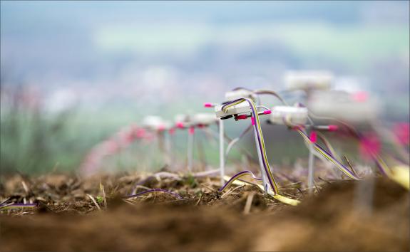  Elektroden eines geo-elektrischen Messprofils