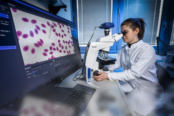 Eine Labormitarbeiterin untersucht Proben unter einem Mikroskop. Im Vordergrund sieht man die Probe auf einem Monitor.