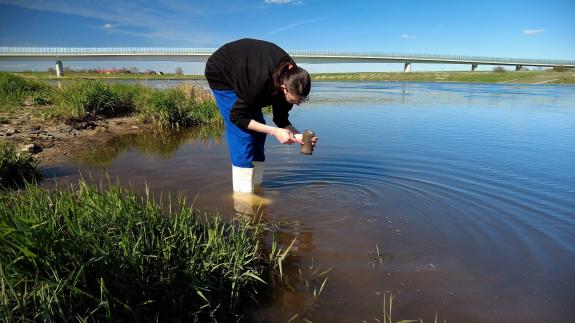 Mikrobenjägerin sammelt in einem Fluss Sedimentproben