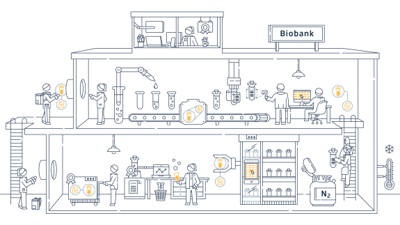 Darstellung einer Biobank mit Labor- und Lagerbereich
