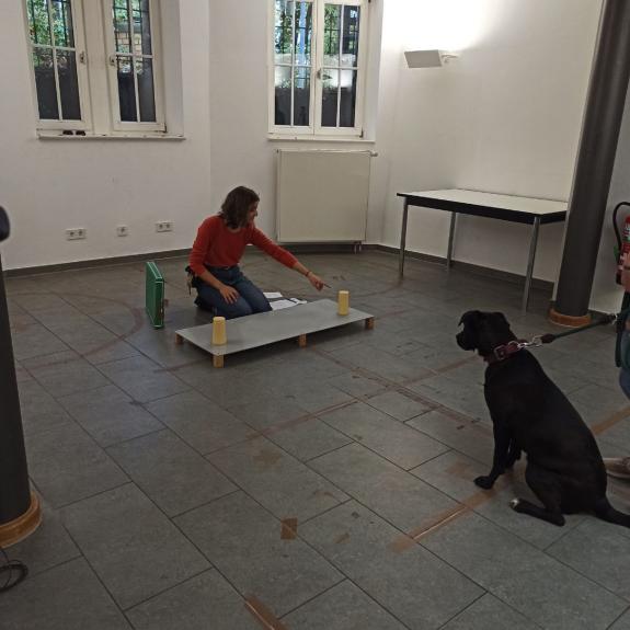 Live Tests with dogs at MPI-GEA