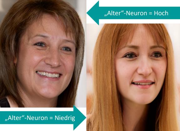 Der Wert eines einzelnen künstliches „Neurons“ beeinflusst das Alter im generierten Gesicht, während andere Aspekte ähnlich bleiben